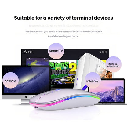 Wireless RGB Backlit Silent Rechargeable Ergonomic Computer Mouse