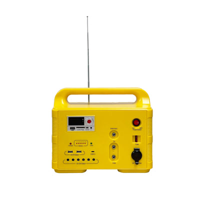 Portable Mini Solar Panel Kit with LED Torches and FM Radio